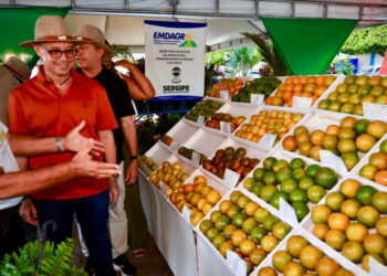 Governo do Estado apoia 47ª Festa da Laranja e reforça compromisso com fortalecimento da citricultura