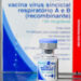 Sergipe recebe primeiro lote da vacina contra o vírus sincicial respiratório para proteger gestantes e recém-nascidos