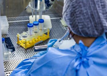 Sergipe acompanha avanço da variante gripe K e orienta sobre sintomas e prevenção