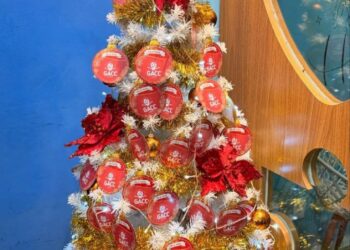 GACC inaugura Árvore de Natal e faz apelo por arrecadação de presentes para acolhidos da instituição