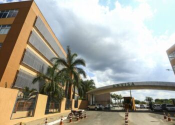 Anvisa libera estudo com medicamento para lesões na medula espinhal