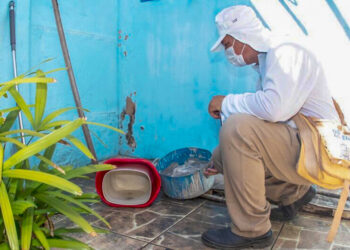 Primeiro LIRAa do ano identifica apenas dois municípios sergipanos com alto índice de infestação do Aedes aegypti