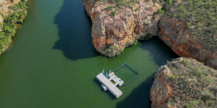 Sergipe projeta Carnaval histórico em 2026 com a melhor expectativa turística