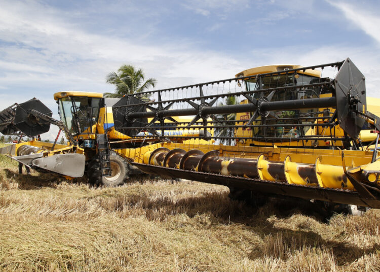 Safra de arroz em Sergipe registra recorde mais uma vez