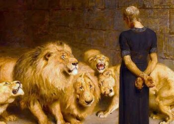 Da cova dos leões ao tabuleiro político: a volta de Ricardo Marques