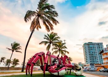 Aracaju é destaque nacional na geração de empregos e lidera 20 atividades econômicas em Sergipe