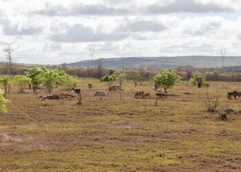 Boletim Técnico do El Niño atualiza cenário climático e facilita acesso às informações climáticas