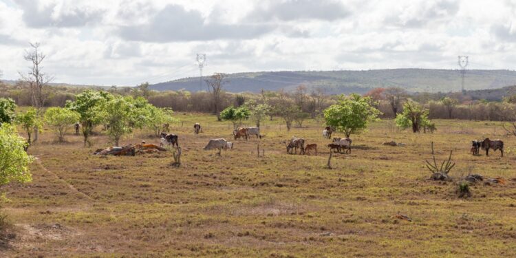 Boletim Técnico do El Niño atualiza cenário climático e facilita acesso às informações climáticas