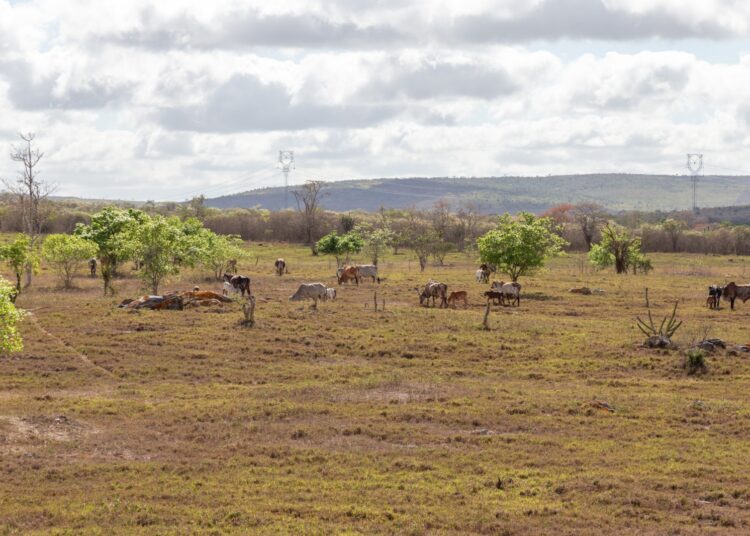 Boletim Técnico do El Niño atualiza cenário climático e facilita acesso às informações climáticas