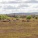 Boletim Técnico do El Niño atualiza cenário climático e facilita acesso às informações climáticas